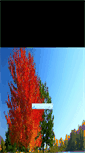 Mobile Screenshot of mv.shmmw.com